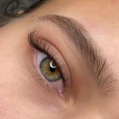 Cat Eye Lashes