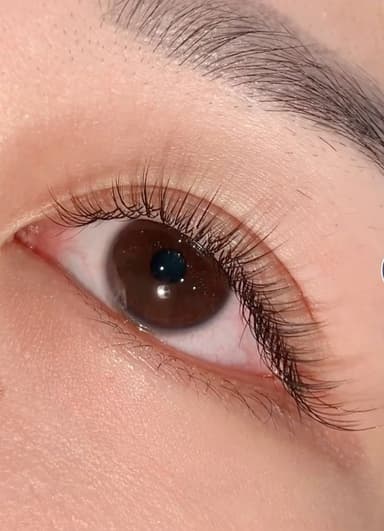 Natural Eyelash