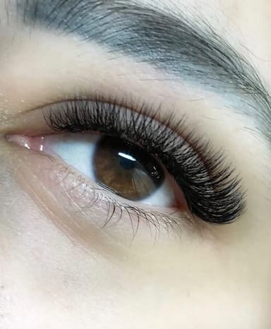 Volume Lash